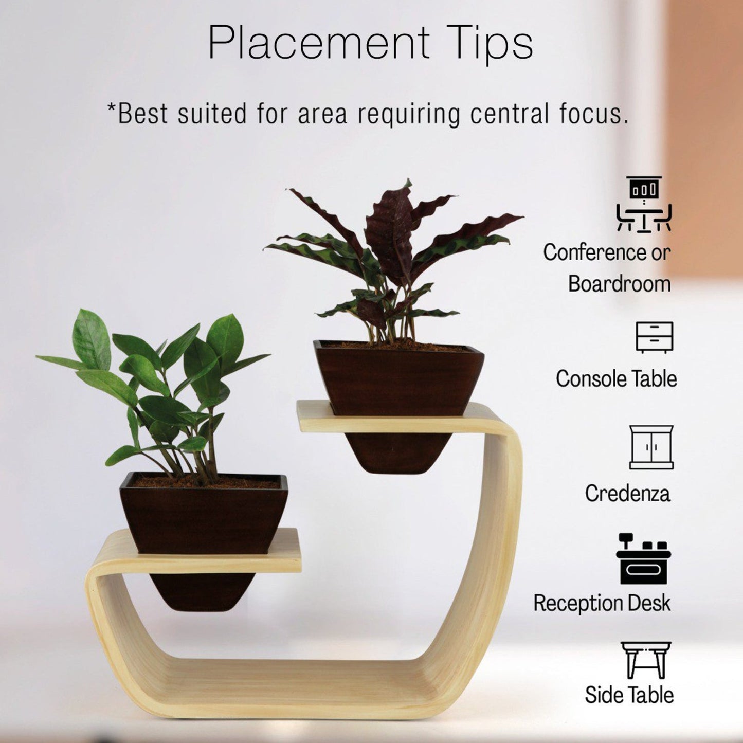 Aries Duo Tabletop Curved Planter Stand With Dark Brown Pots (Set of 2)
