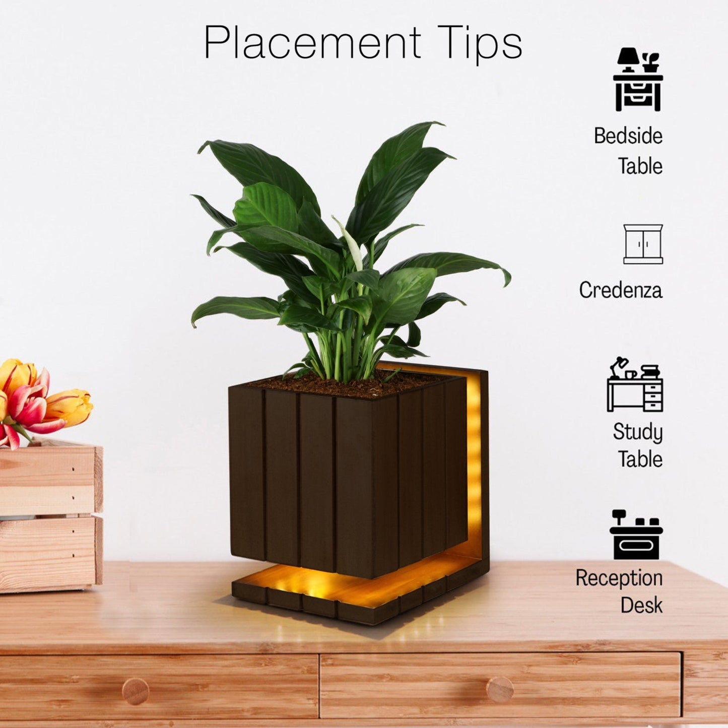 AuraCube Planter and LED Glow Lamp