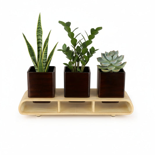 Trio Square Dark Brown Curved Decorative Planter Set And Desk Organizer