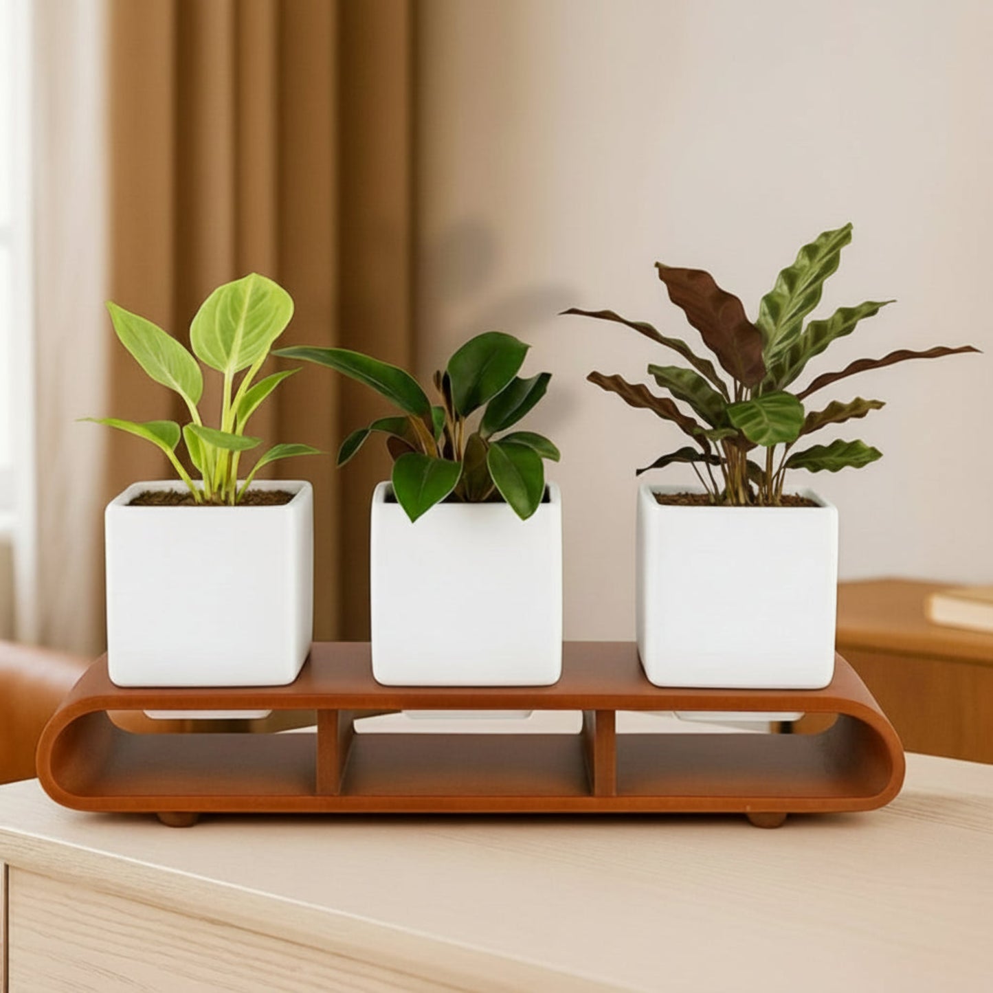 Trio Square White Curved Decorative Planter Set And Desk Organizer