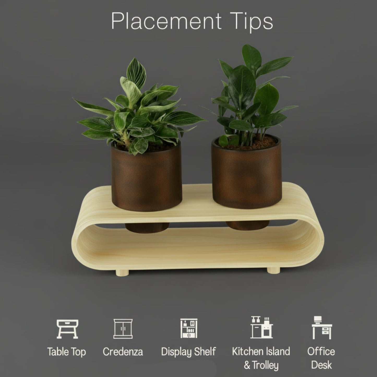 Twin Duo Dark Brown Round Plant Pot Set And Desk Organizer With Curved Stand