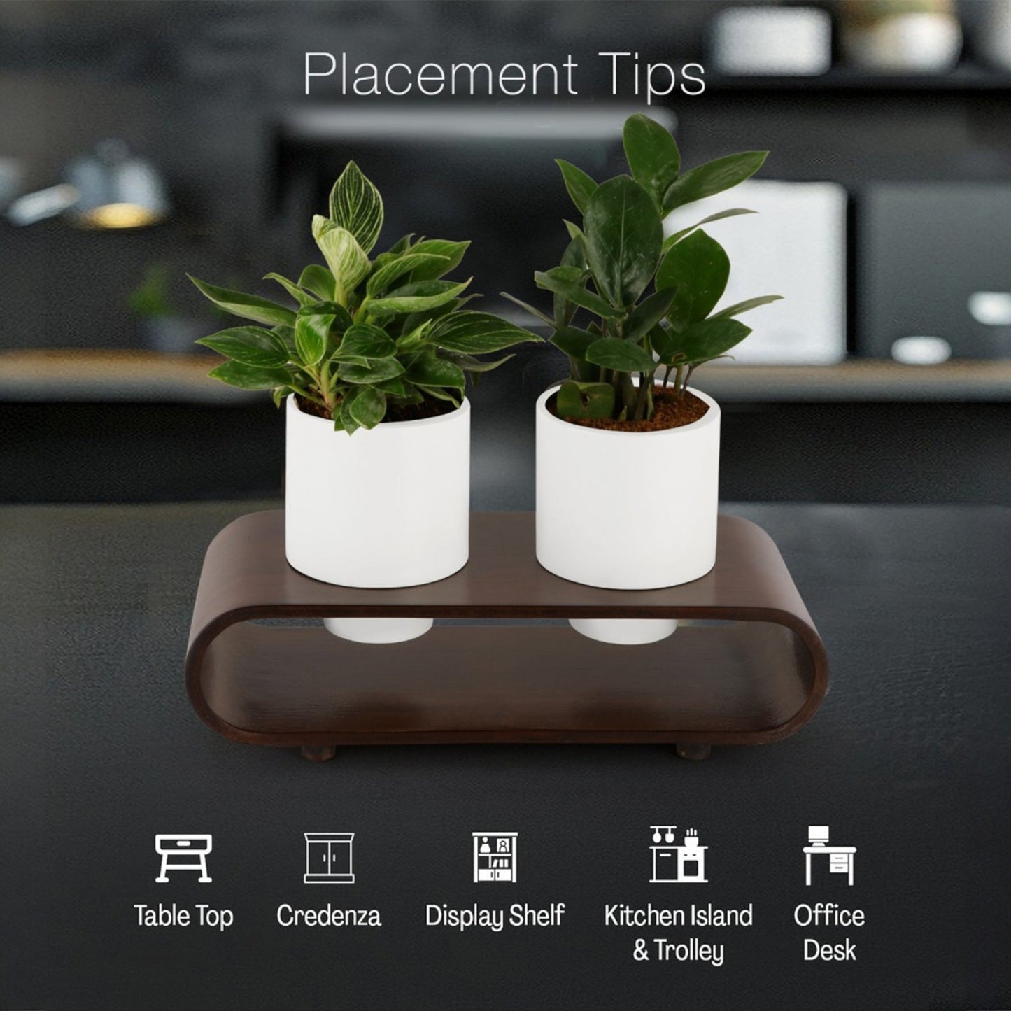 Twin Duo White Round Planter Pot Set And Desk Organizer With Curved Stand