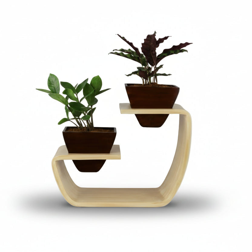 Aries Duo Artistic Curved Planter Stand With Dark Brown Twin Pots (Set of 2)