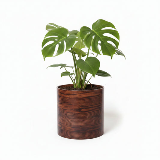 EcoBark Curved Wood Round Cylindrical Planter (Large Size)
