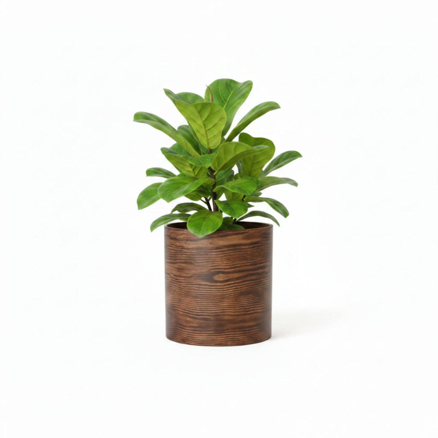 EcoBark Curved Wood Round Cylindrical Planter (Large Size)