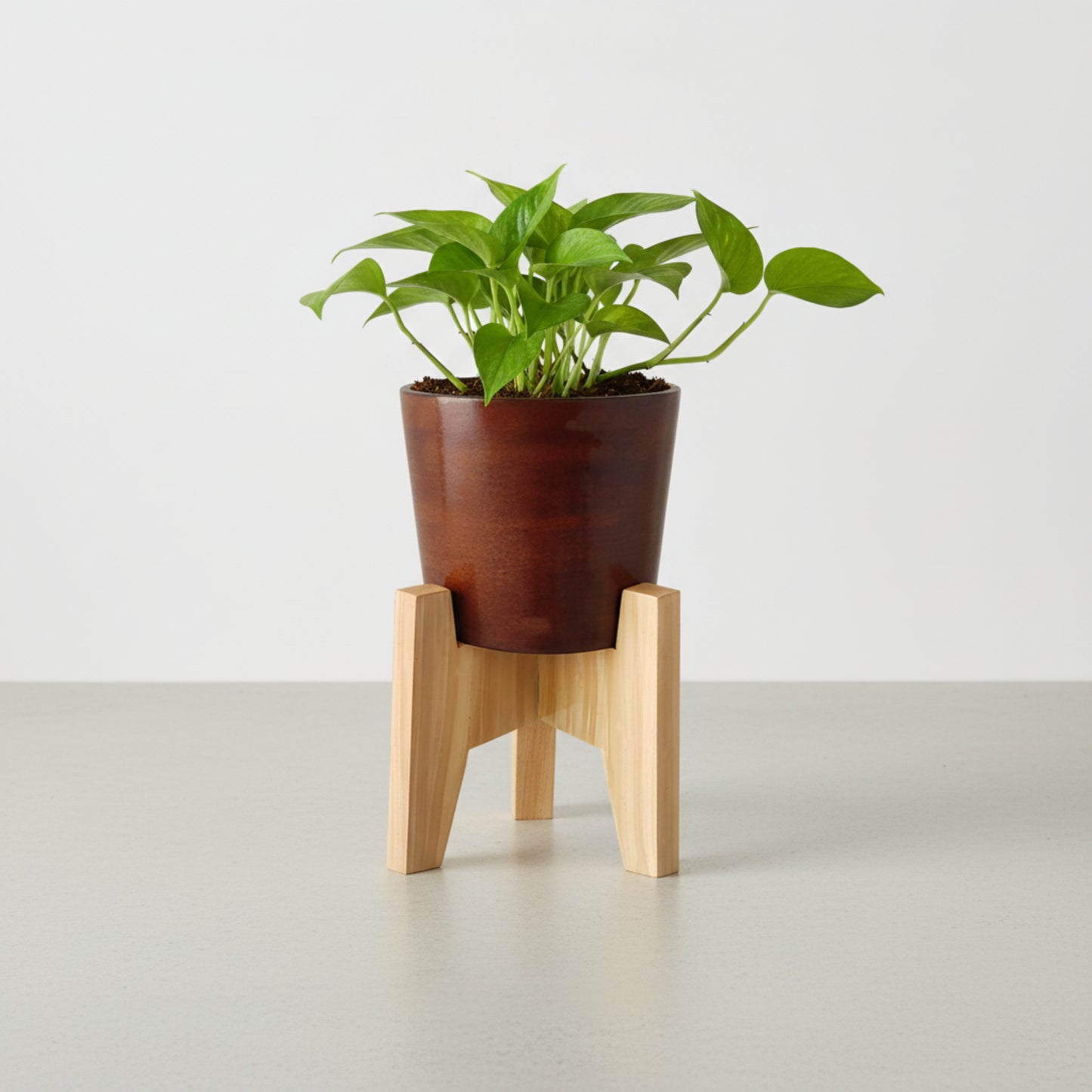 Classy Taper Round Desk Planter Pot With Stand