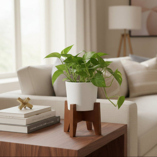 Classy Taper Round Desk Planter Pot With Stand