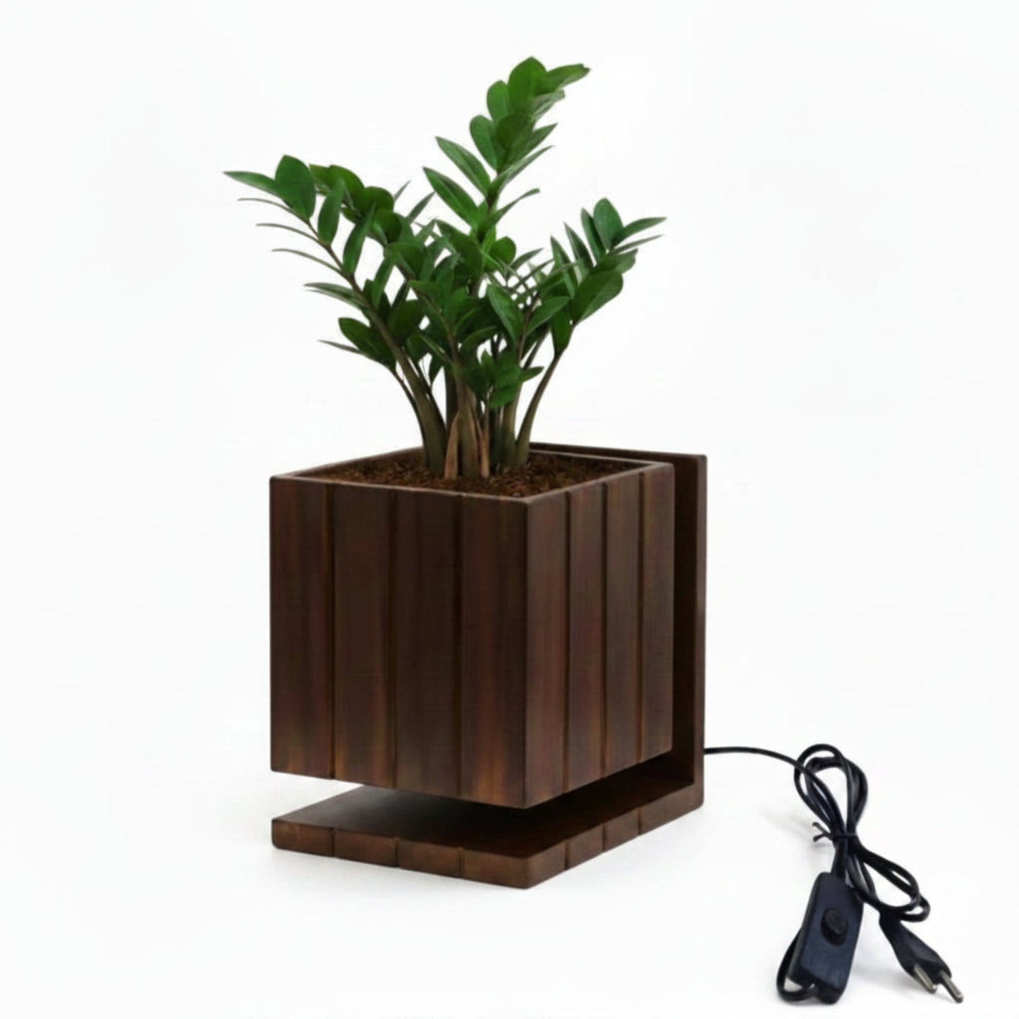 AuraCube Planter and LED Glow Lamp
