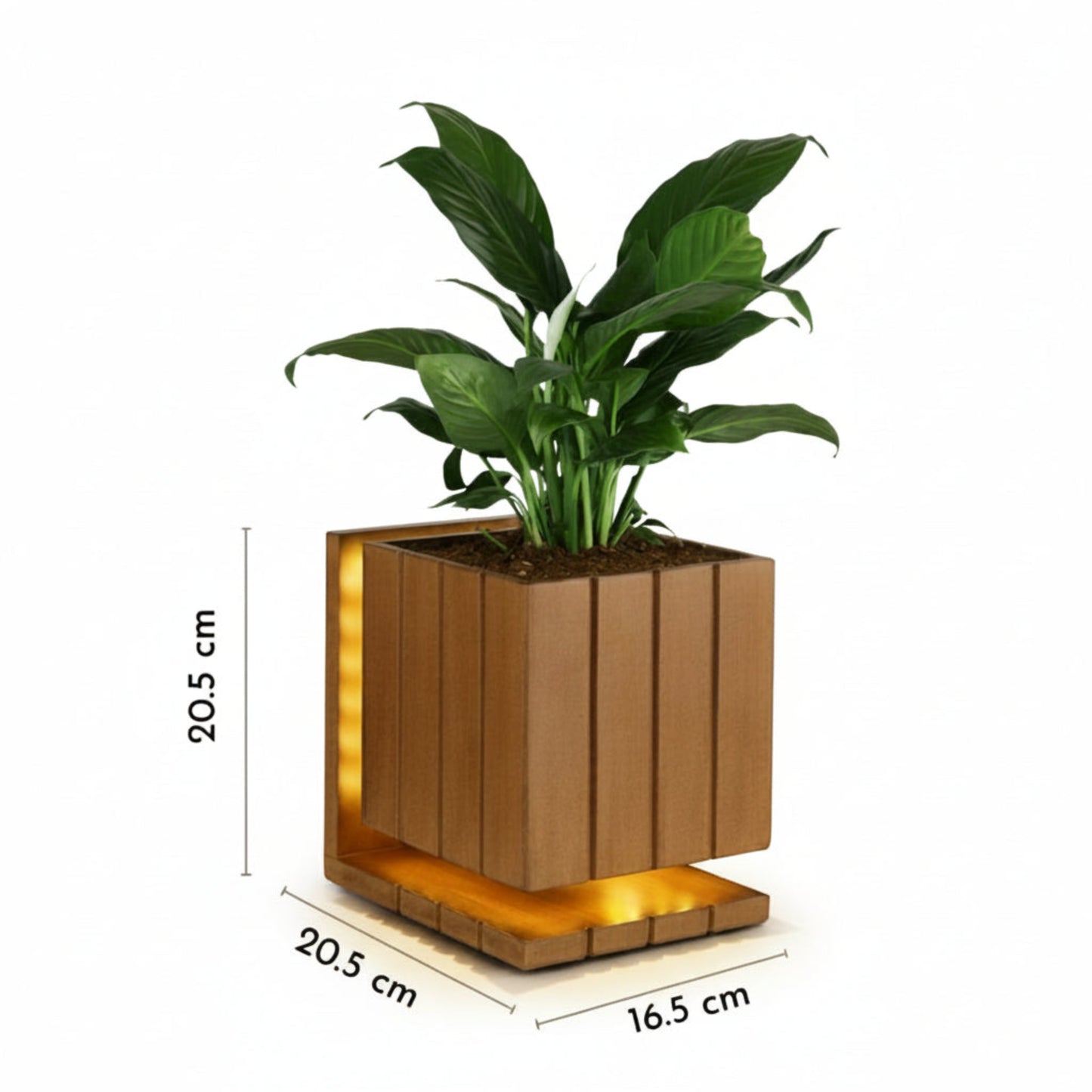 AuraCube Planter and LED Glow Lamp