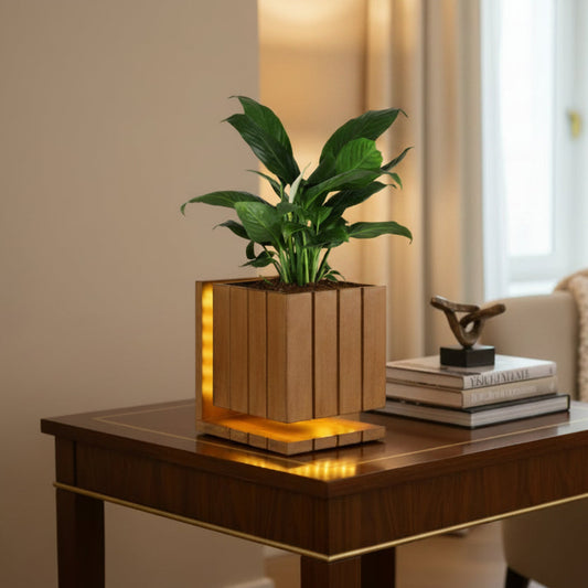 AuraCube Planter and LED Glow Lamp