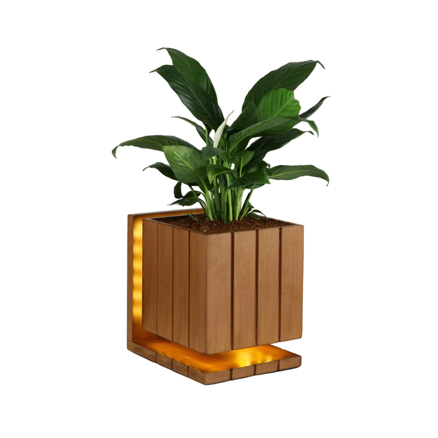 AuraCube Planter and LED Glow Lamp