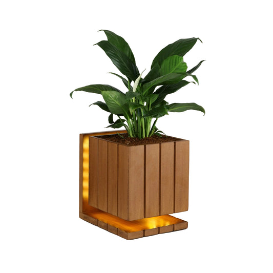 AuraCube Planter and LED Glow Lamp