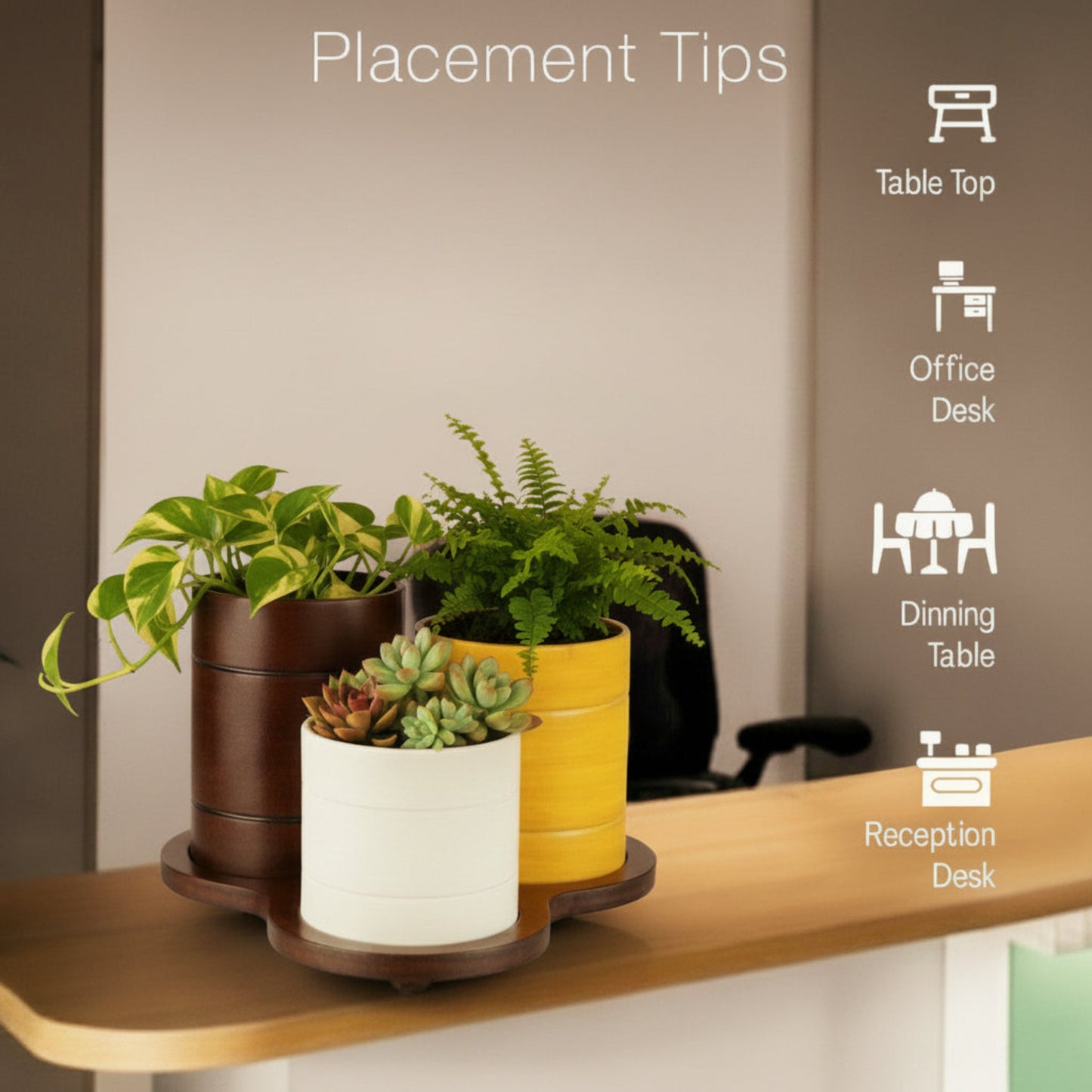 Trio-Pot  Multicolor Table Planter Set And Desk Organizer