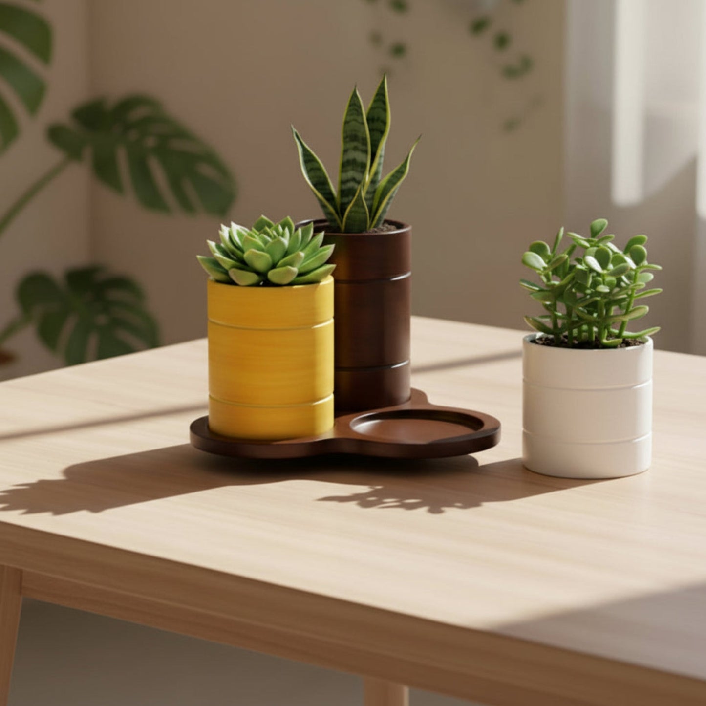 Trio-Pot  Multicolor Table Planter Set And Desk Organizer