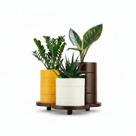 Trio-Pot  Multicolor Table Planter Set And Desk Organizer