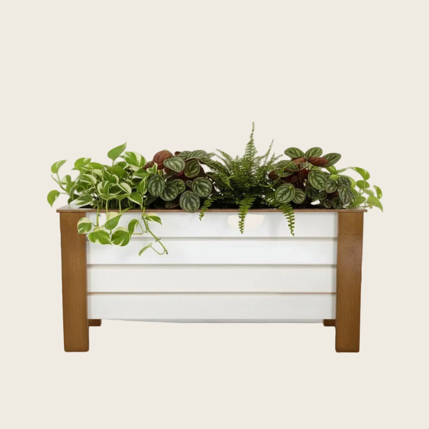 Urban Elegance Large Curved Wood Rectangular Planter Box